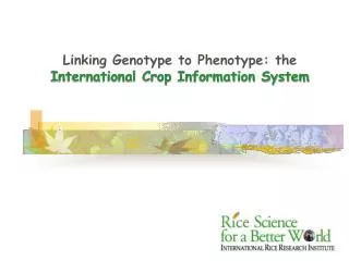 Linking Genotype to Phenotype: the International Crop Information System