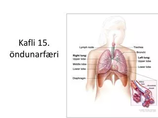 kafli 15 ndunarf ri