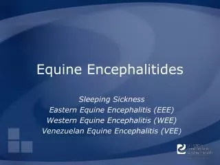 Equine Encephalitides