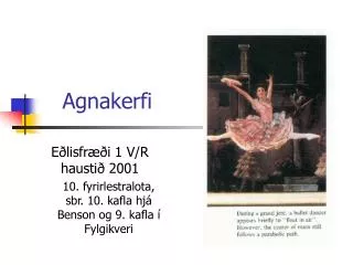 agnakerfi