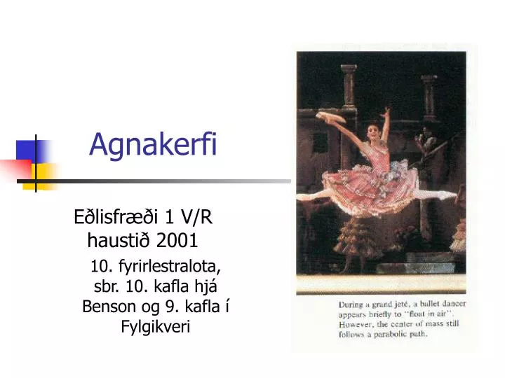 agnakerfi