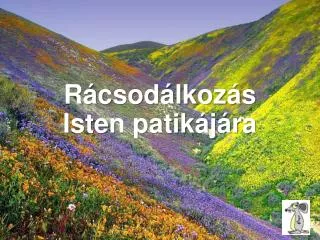 r csod lkoz s isten patik j ra