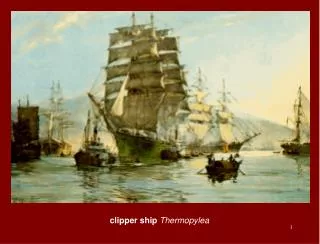 clipper ship Thermopylea