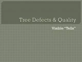 Tree Defects &amp; Quality