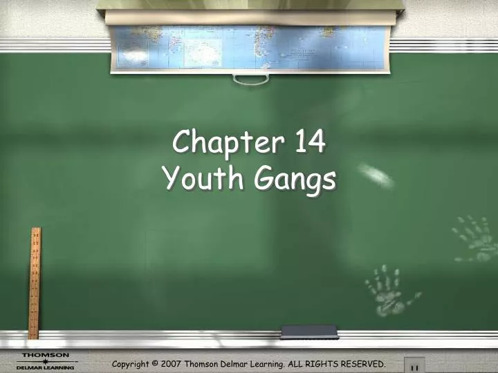 chapter 14 youth gangs