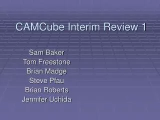 CAMCube Interim Review 1