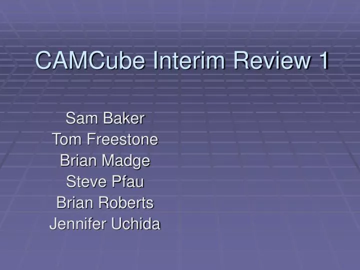 camcube interim review 1