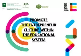 PROMOTE THE ENTREPRENEUR CULTURE WITHIN THE EDUCATIONAL SYSTEM