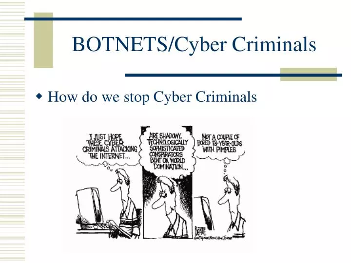 botnets cyber criminals