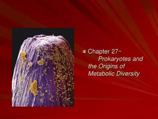 Chapter 27~	 Prokaryotes and the Origins of Metabolic Diversity