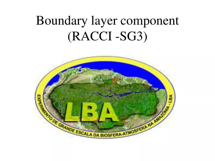 boundary layer component racci sg3