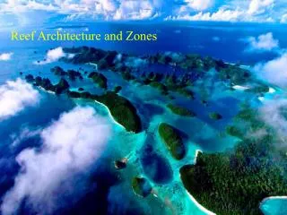Reef Architecture and Zones