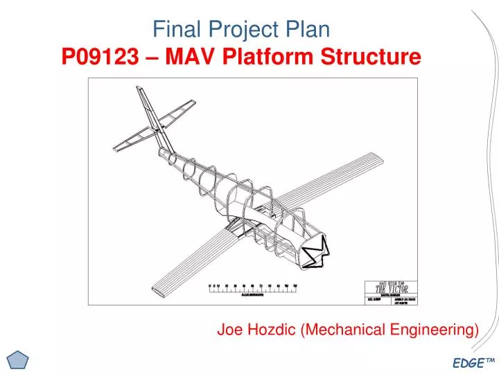final project plan p09123 mav platform structure