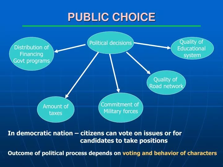 public choice