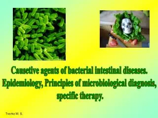 Causetive agents of bacterial intestinal diseases.