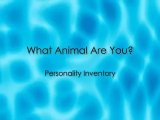 What Animal Are You?