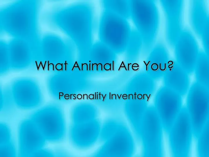 what animal are you