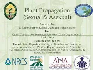 Plant Propagation (Sexual &amp; Asexual)