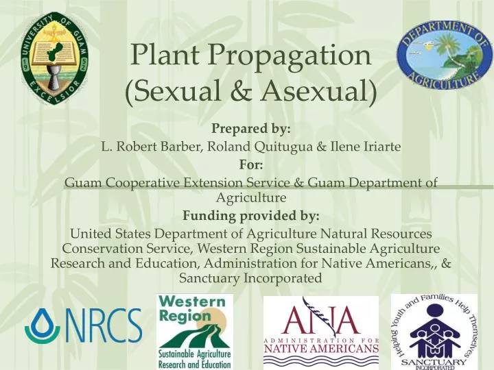 plant propagation sexual asexual