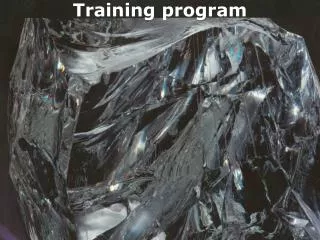 Training program