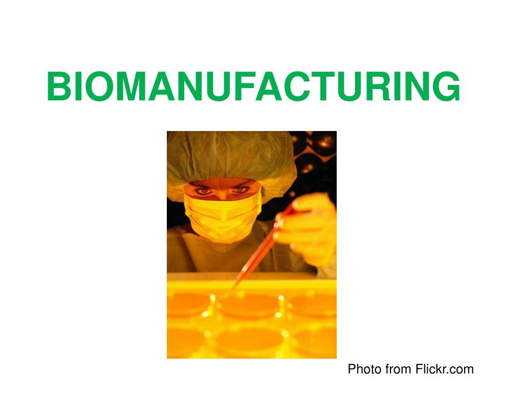 PPT - BIOMANUFACTURING PowerPoint Presentation, free download - ID:6206763