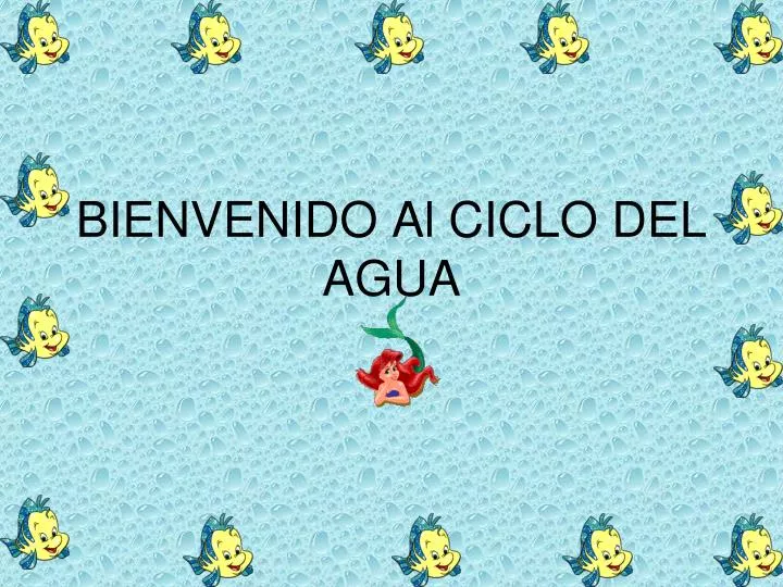 bienvenido al ciclo del agua