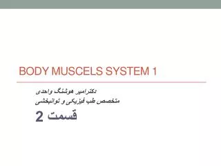 body muscels system 1