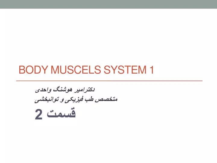 body muscels system 1