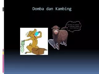 domba dan kambing