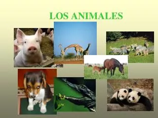 los animales