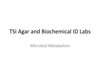 TSI Agar and Biochemical ID Labs