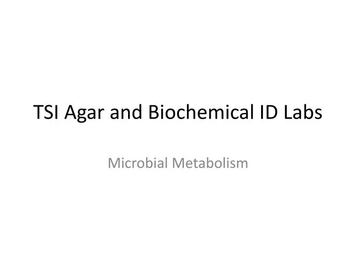 tsi agar and biochemical id labs