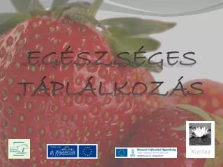 eg szs ges t pl lkoz s