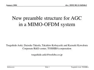 New preamble structure for AGC in a MIMO-OFDM system