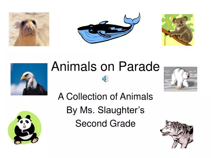 animals on parade