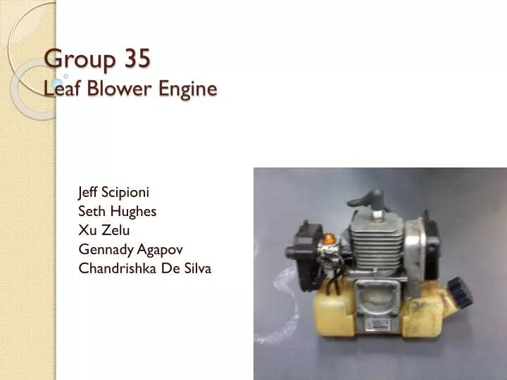 group 35 leaf blower engine