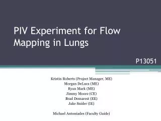 PIV Experiment for Flow Mapping in Lungs