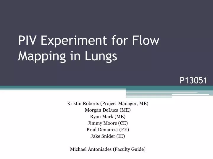piv experiment for flow mapping in lungs
