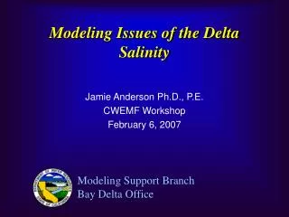 Modeling Issues of the Delta Salinity