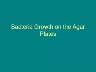 Bacteria Growth on the Agar Plates