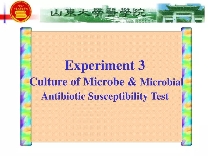 experiment 3 culture of microbe microbial antibiotic susceptibility test
