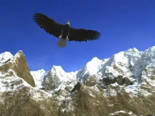 15 CARACTERÍSTICAS DE LAS ÁGUILAS