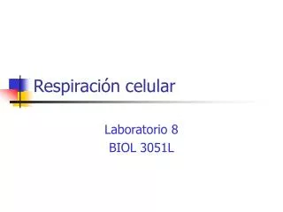 respiraci n celular
