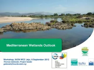 Mediterranean Wetlands Outlook