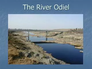 The River Odiel