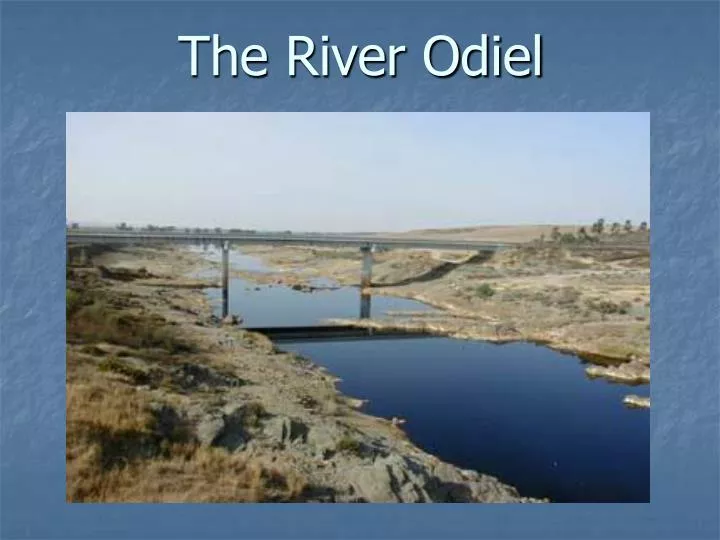the river odiel
