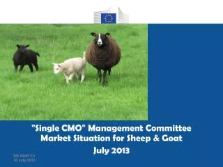 &quot;Single CMO&quot; Management Committee Market Situation for Sheep &amp; Goat July 2013