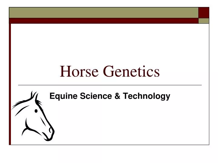 horse genetics