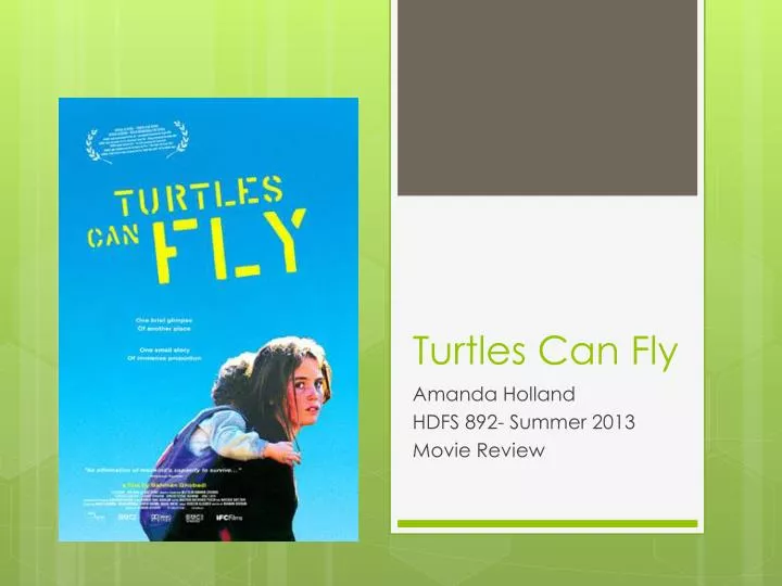 turtles can fly