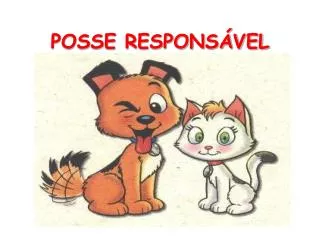 posse respons vel